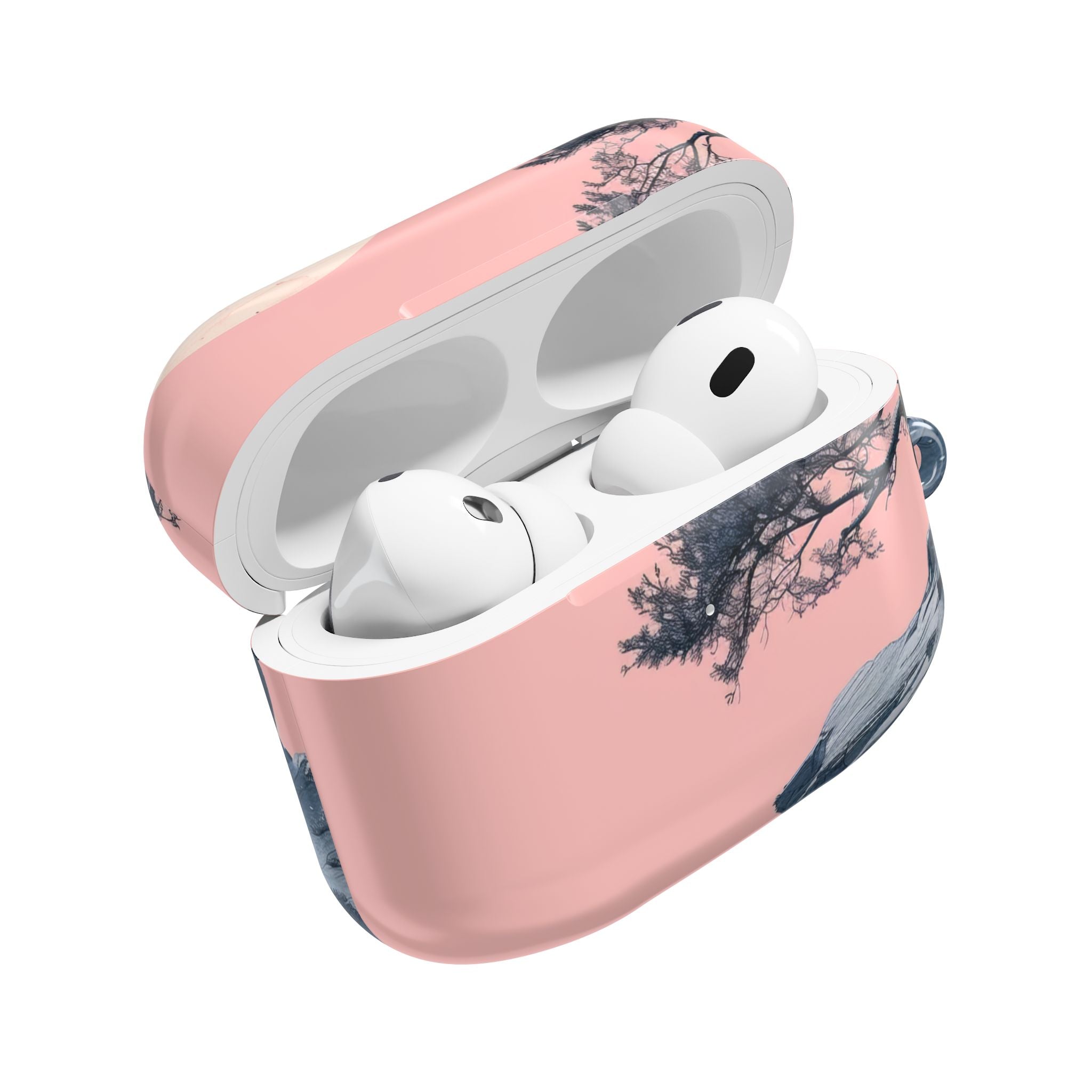 Windswept Cliff - AirPods Case