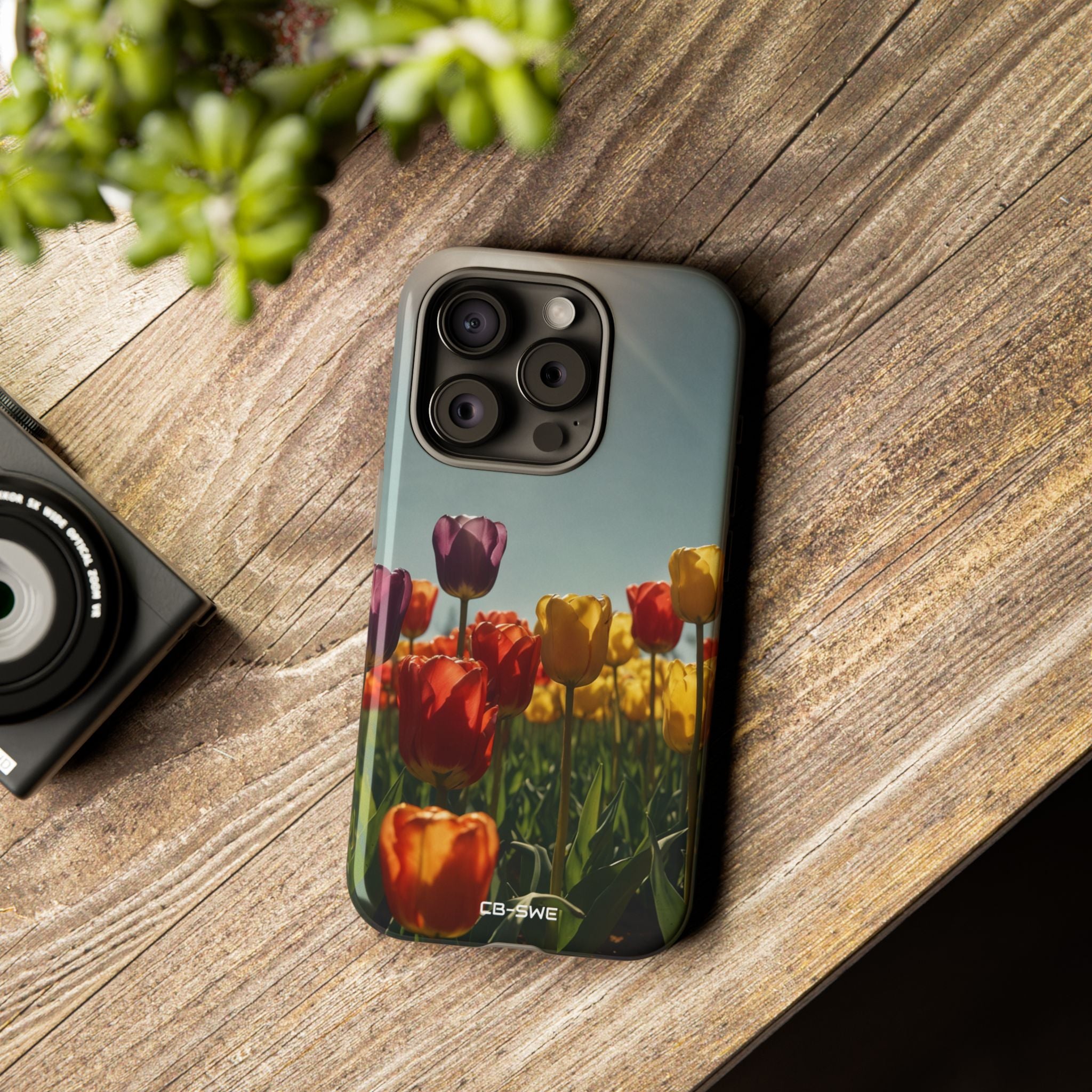 Tulips Embrace Sunlight - iPhone Case
