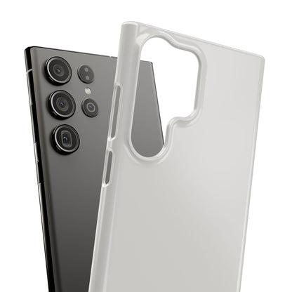 Platinum Grey Samsung S23 - Delgado