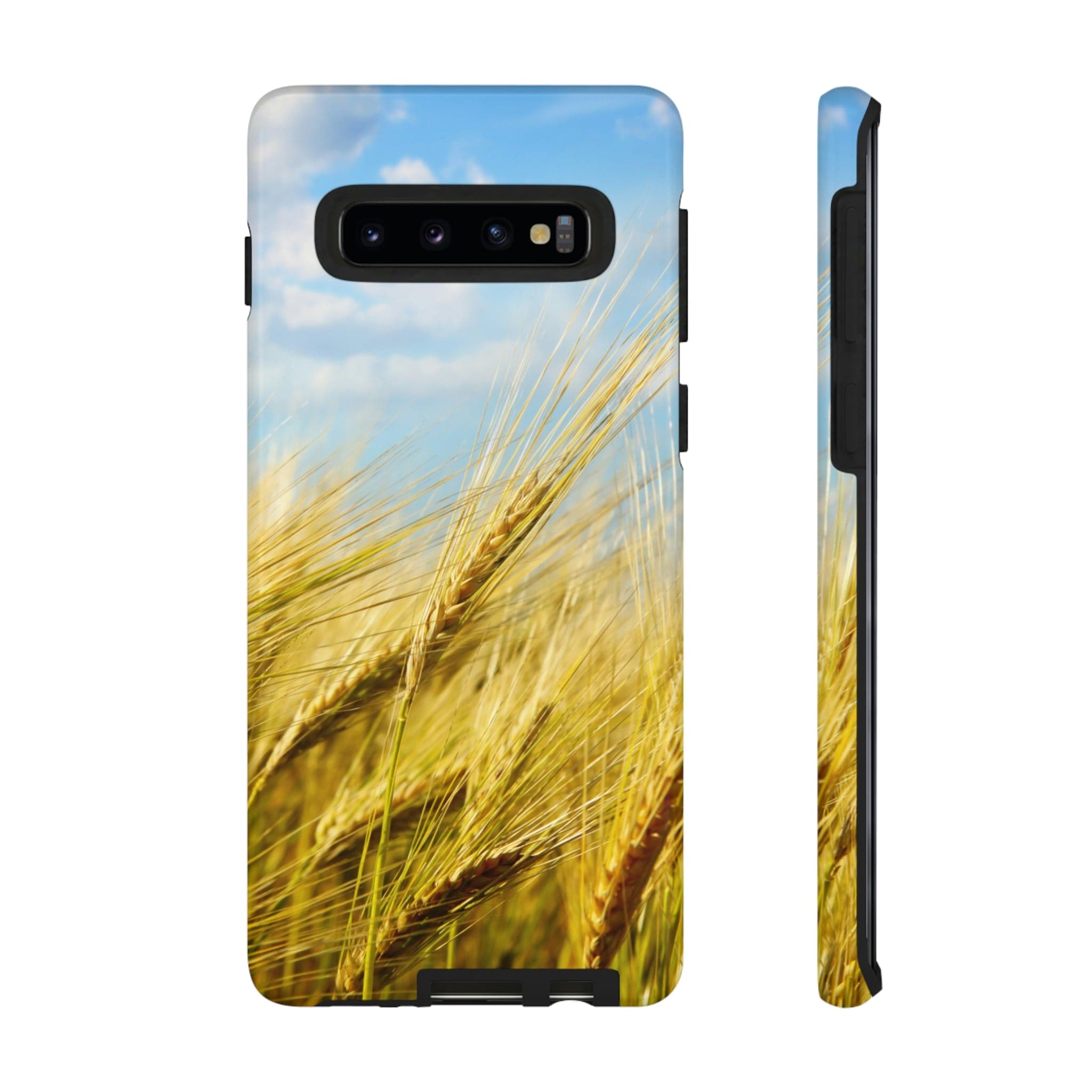 CASEBOB Phone Case Samsung Galaxy S10 / Glossy Wheat Field Android Case (Protective)