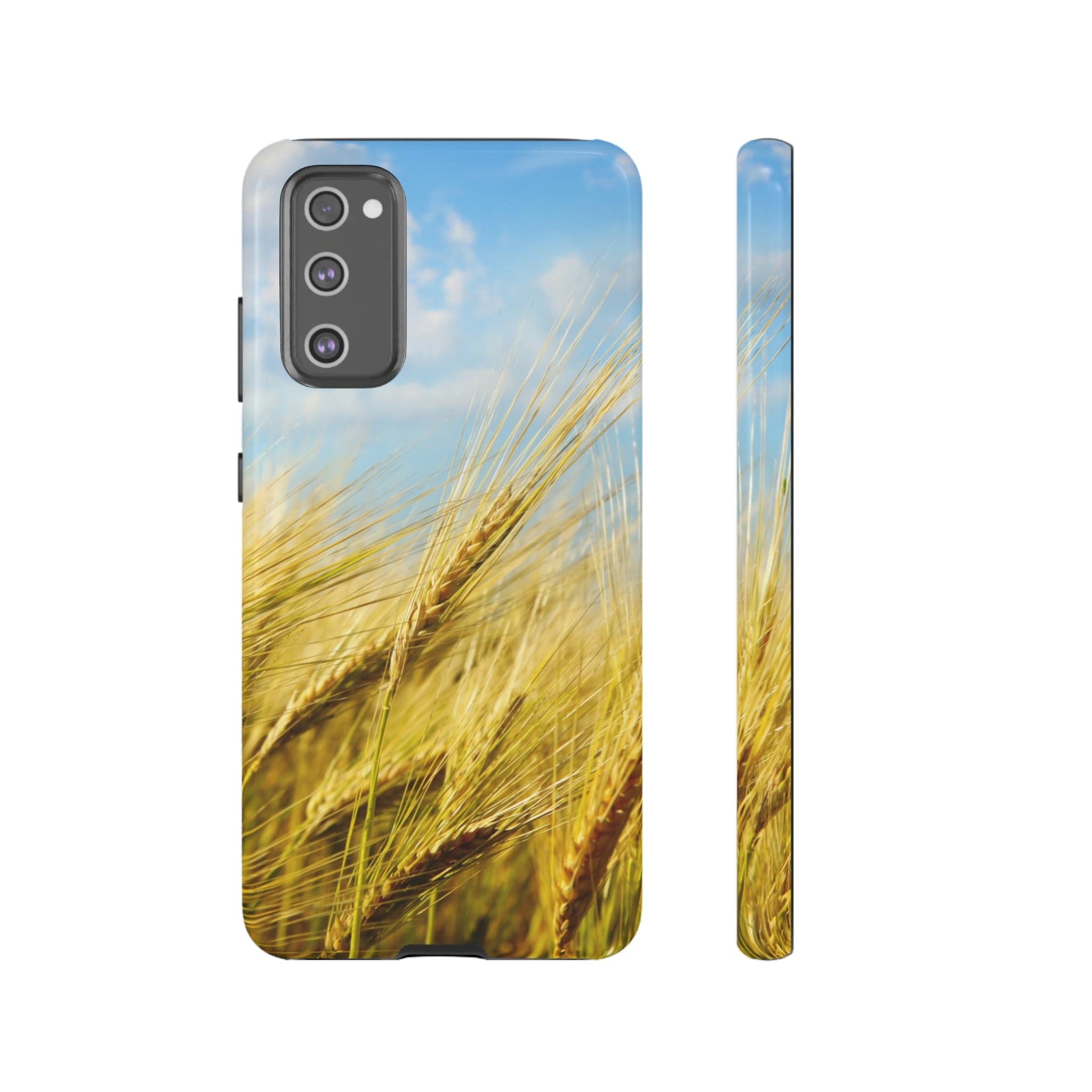 CASEBOB Phone Case Samsung Galaxy S20 FE / Glossy Wheat Field Android Case (Protective)