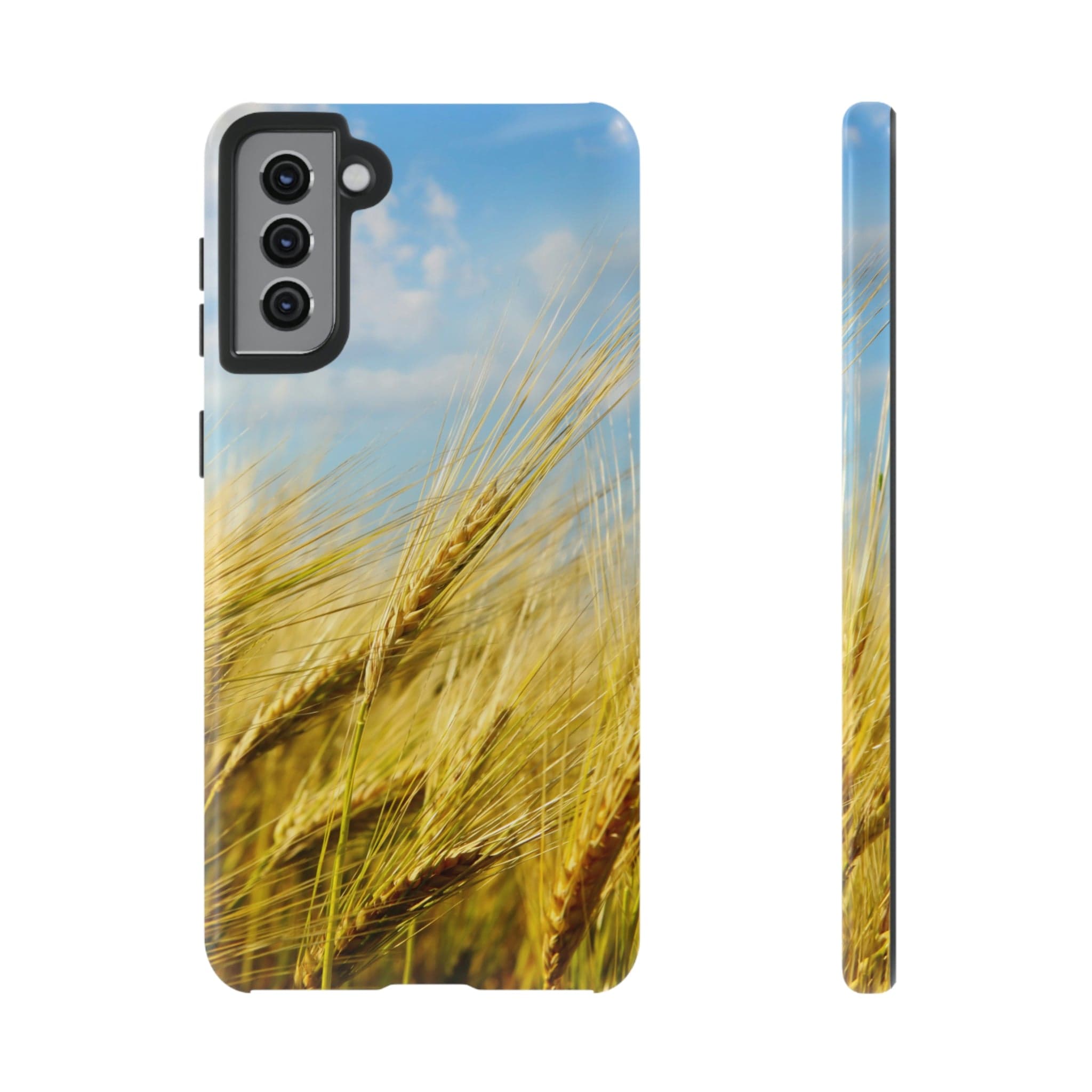 CASEBOB Phone Case Samsung Galaxy S21 Plus / Glossy Wheat Field Android Case (Protective)