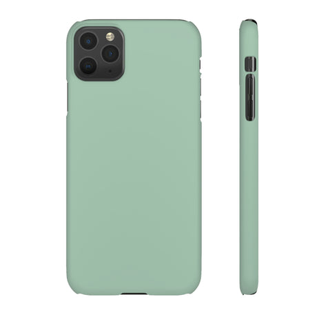 Cambridge Blue iPhone Case (Slim) iPhone 11 Pro Max Matte Phone Case