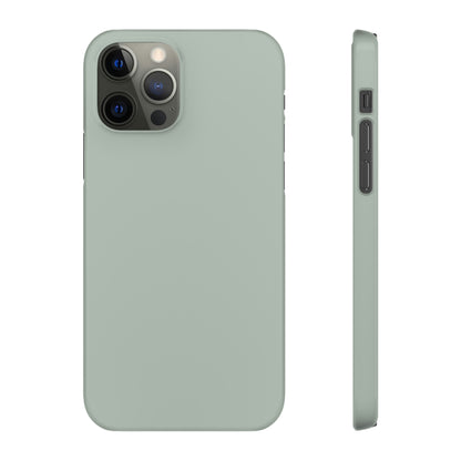 Ash Grey iPhone Case (Slim) iPhone 12 Pro Glossy Phone Case