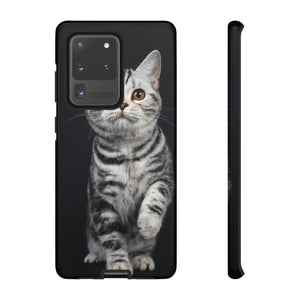 Tortie Kitten Android Case (Protective) Samsung Galaxy S20 Ultra Glossy Phone Case