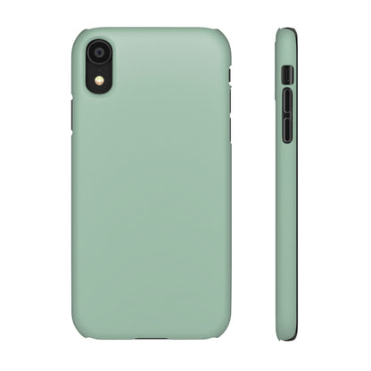 Cambridge Blue iPhone Case (Slim) iPhone XR Matte Phone Case