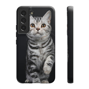 Tortie Kitten Android Case (Protective) Samsung Galaxy S22 Matte Phone Case