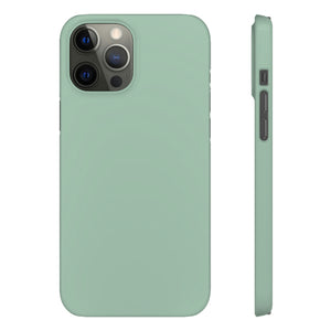 Cambridge Blue iPhone Case (Slim) iPhone 12 Pro Max Glossy Phone Case