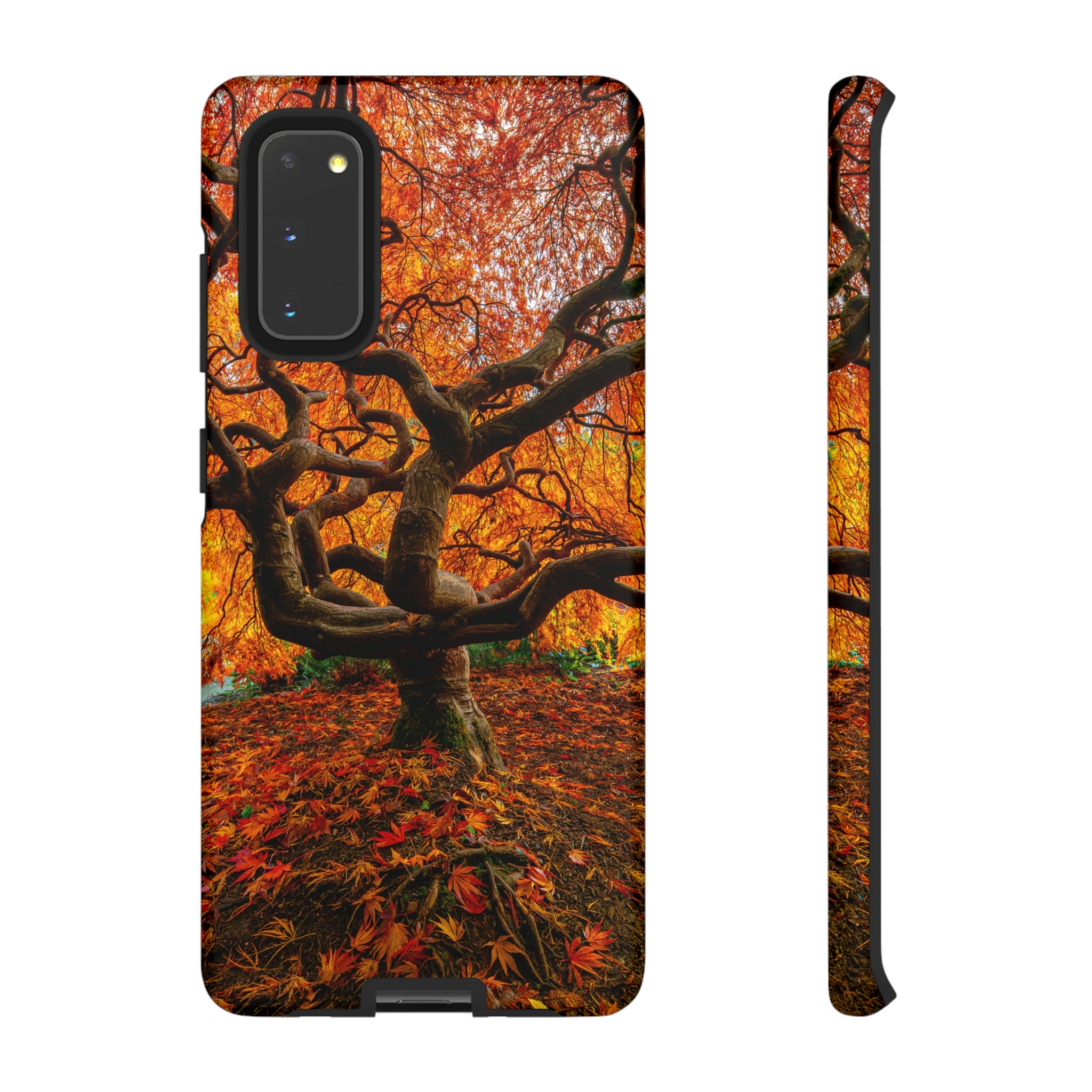 Fall Forest Android Case (Protective) Samsung Galaxy S20 Matte Phone Case