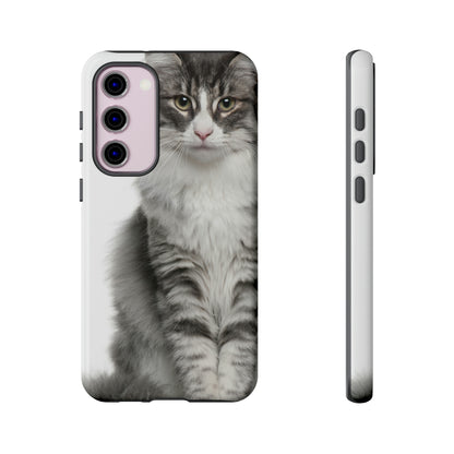 Forest Cat Android Case (Protective) Samsung Galaxy S23 Plus Glossy Phone Case