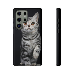 Tortie Kitten Android Case (Protective) Samsung Galaxy S23 Ultra Glossy Phone Case