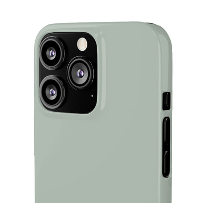 Ash Grey iPhone Case (Slim) Phone Case