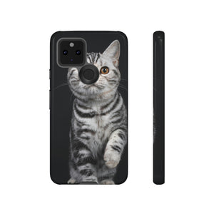 Tortie Kitten Android Case (Protective) Google Pixel 5 5G Glossy Phone Case