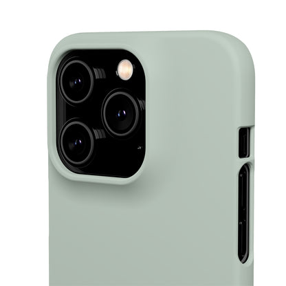 Ash Grey iPhone Case (Slim) Phone Case