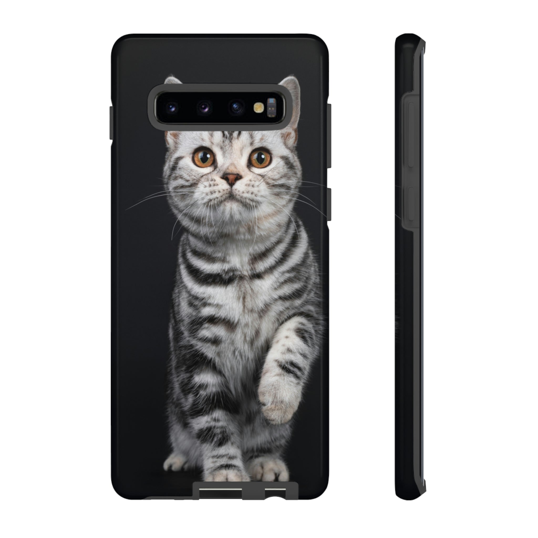 Tortie Kitten Android Case (Protective) Samsung Galaxy S10 Plus Glossy Phone Case