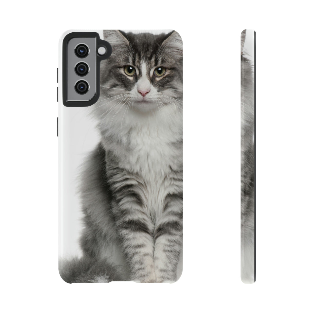 Forest Cat Android Case (Protective) Samsung Galaxy S21 Plus Glossy Phone Case