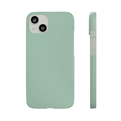 Cambridge Blue iPhone Case (Slim) iPhone 13 Matte Phone Case