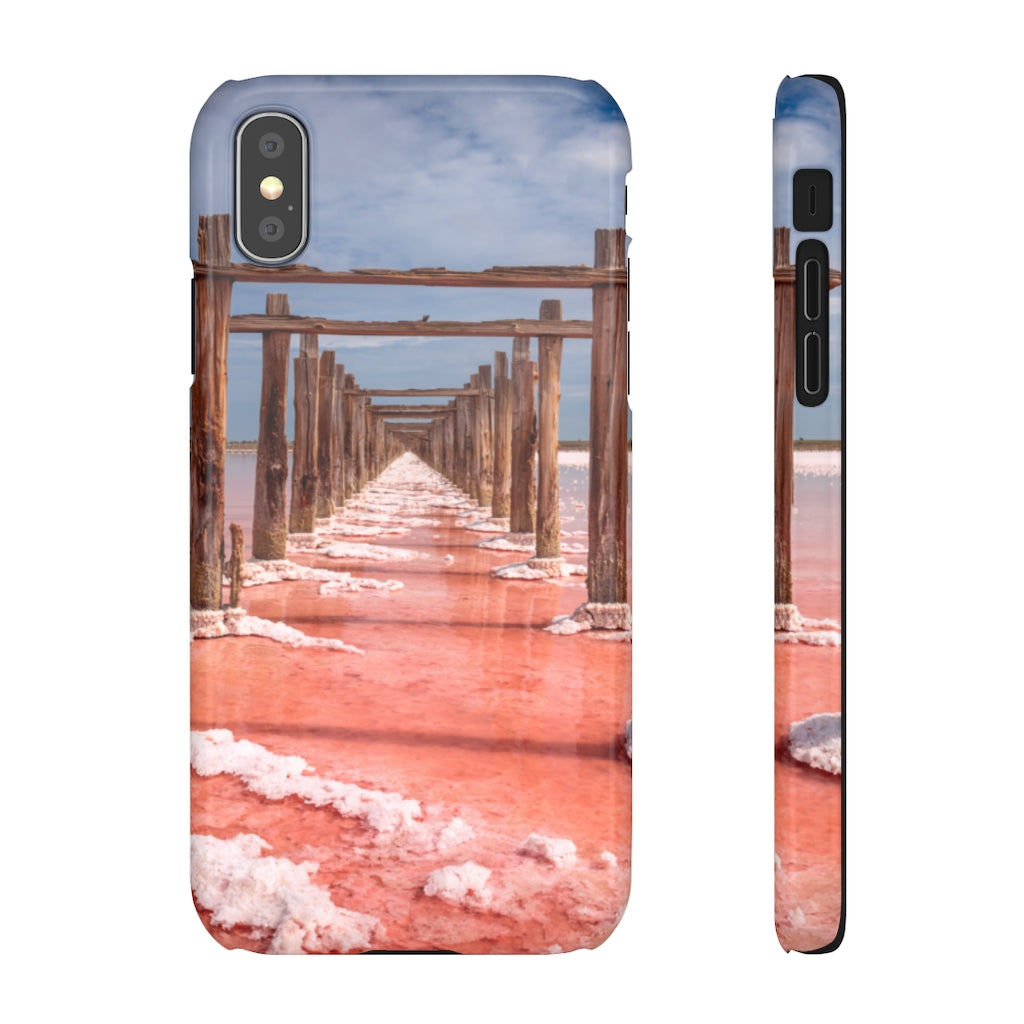 Pink Color of Salt Lake Samsung/iPhone (Slim) Phone Case