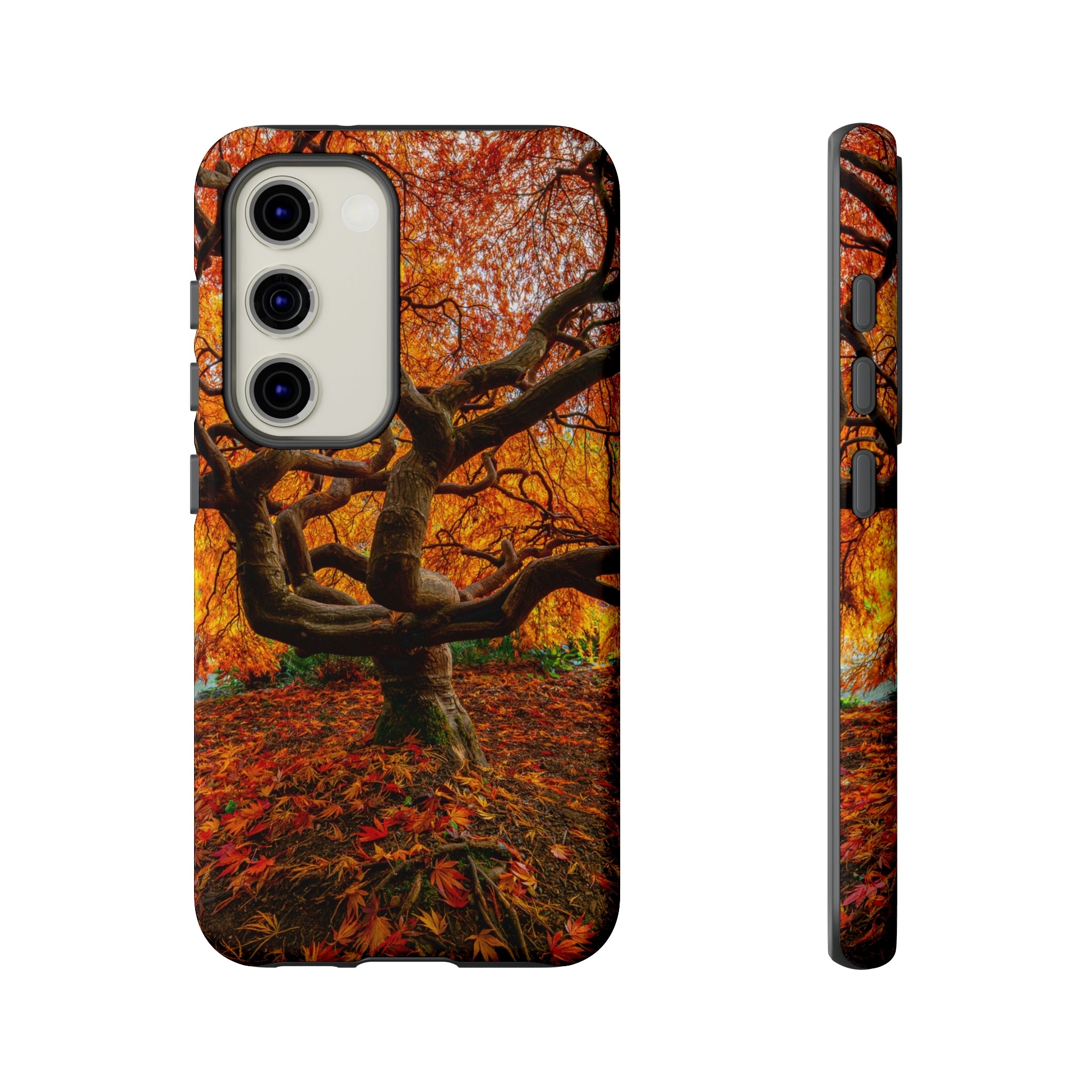 Fall Forest Android Case (Protective) Samsung Galaxy S23 Glossy Phone Case