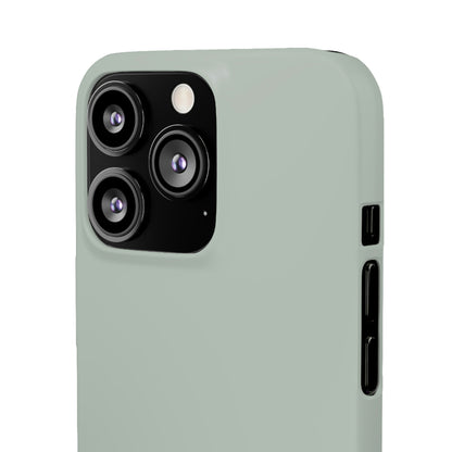 Ash Grey iPhone Case (Slim) Phone Case