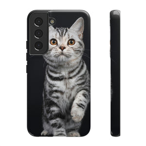 Tortie Kitten Android Case (Protective) Samsung Galaxy S22 Glossy Phone Case