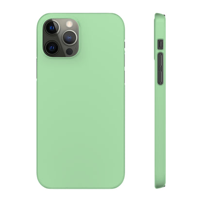 Celadon iPhone Case (Slim) iPhone 12 Pro Glossy Phone Case