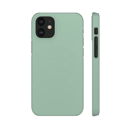 Cambridge Blue iPhone Case (Slim) iPhone 12 Mini Matte Phone Case