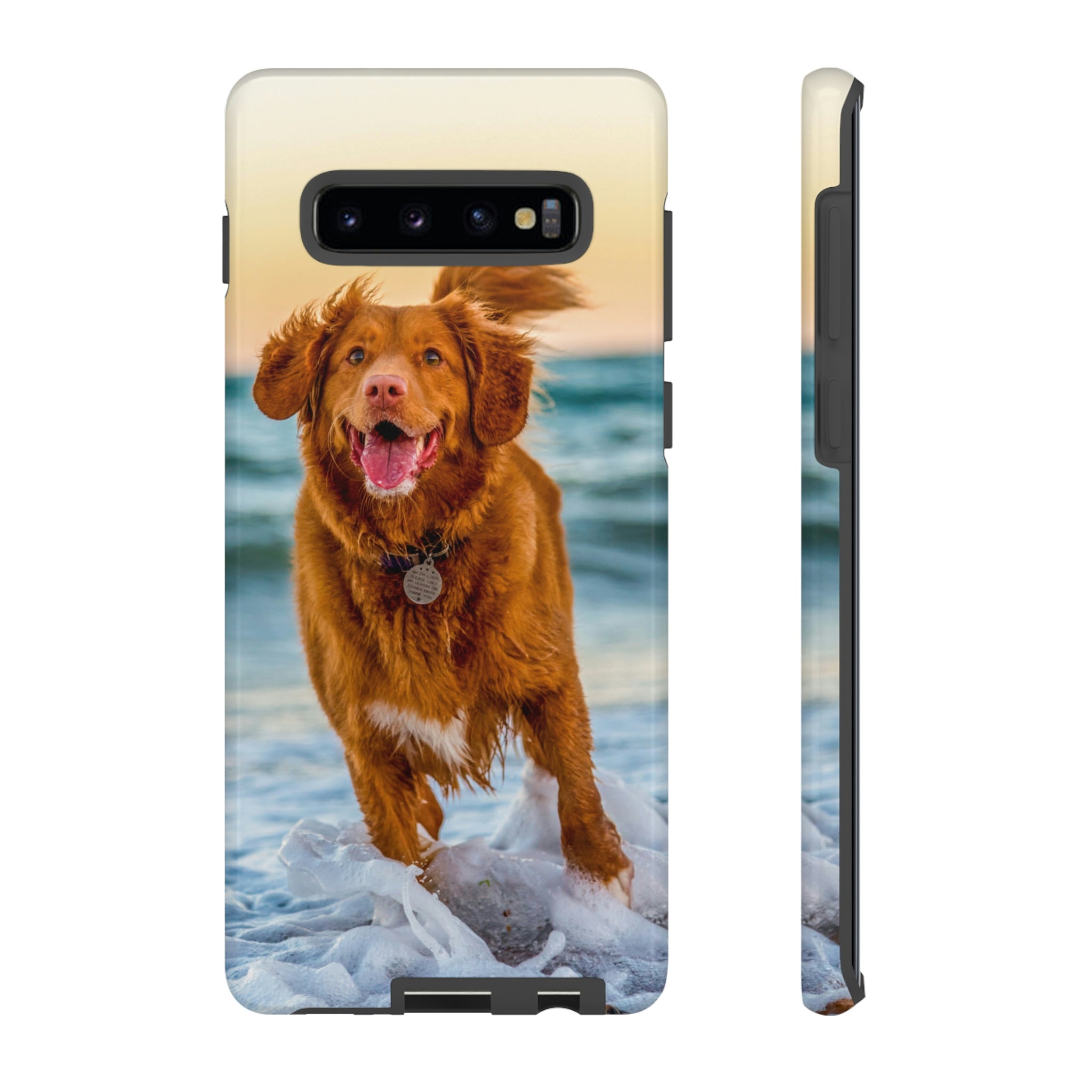 Happy Beach Dog Android Case (Protective) Samsung Galaxy S10 Plus Glossy Phone Case