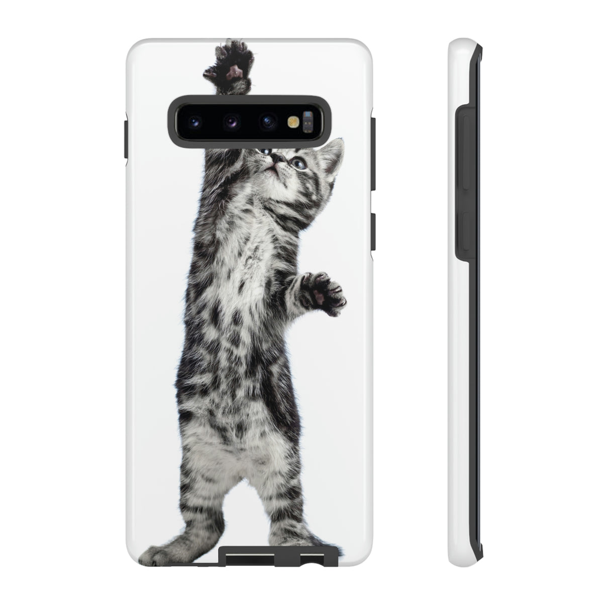 Playful Kitten Android Case (Protective) Samsung Galaxy S10 Plus Glossy Phone Case