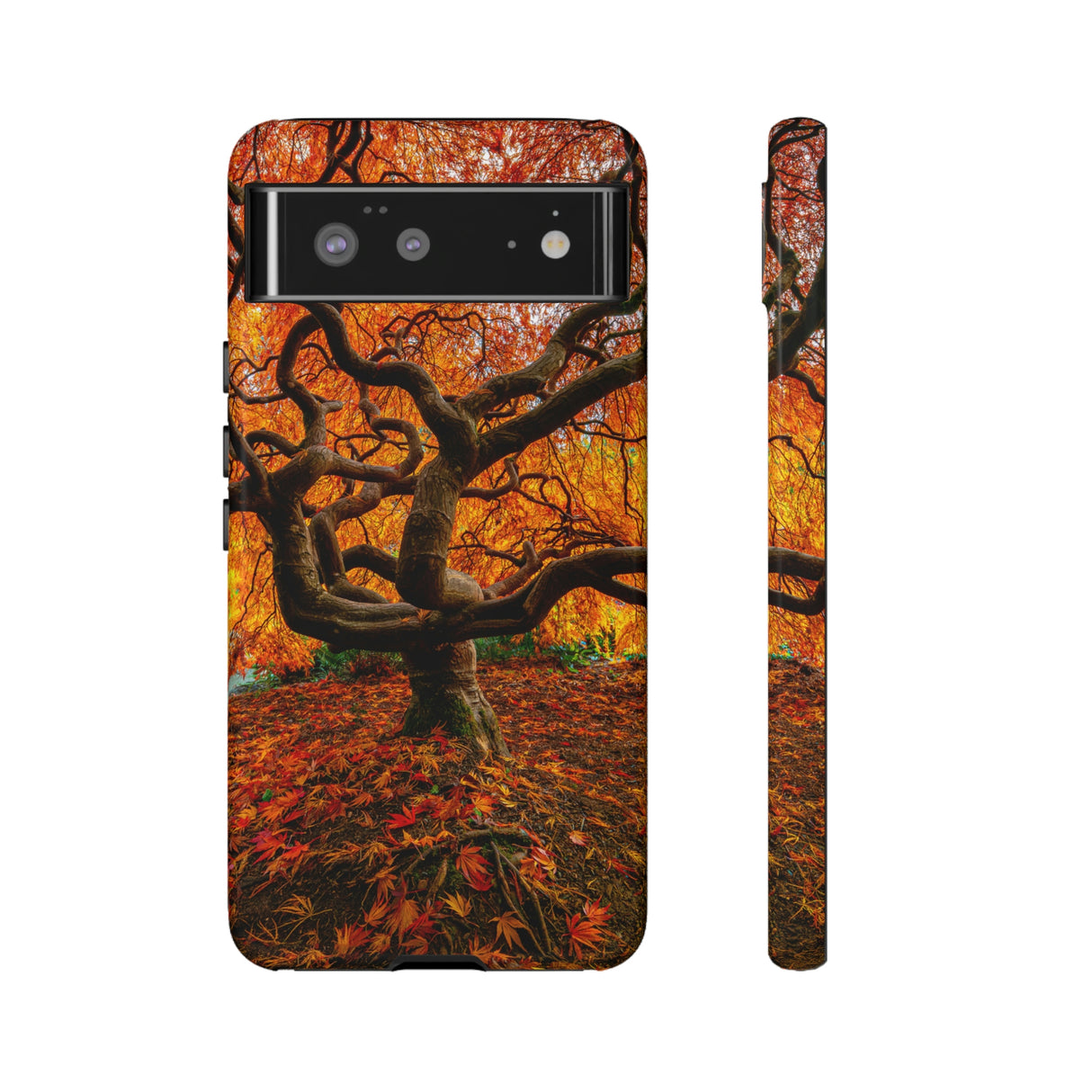 Fall Forest Android Case (Protective) Google Pixel 6 Glossy Phone Case