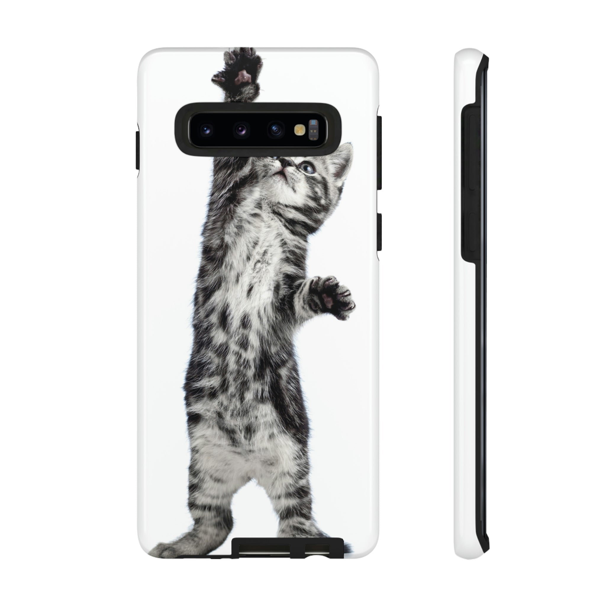 Playful Kitten Android Case (Protective) Samsung Galaxy S10 Glossy Phone Case