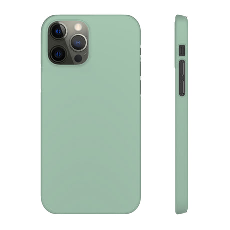 Cambridge Blue iPhone Case (Slim) iPhone 12 Pro Matte Phone Case