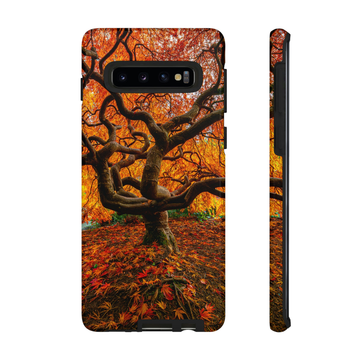 Fall Forest Android Case (Protective) Samsung Galaxy S10 Glossy Phone Case