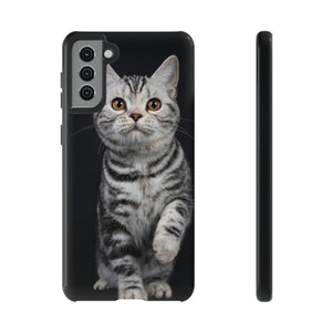 Tortie Kitten Android Case (Protective) Samsung Galaxy S21 Plus Glossy Phone Case