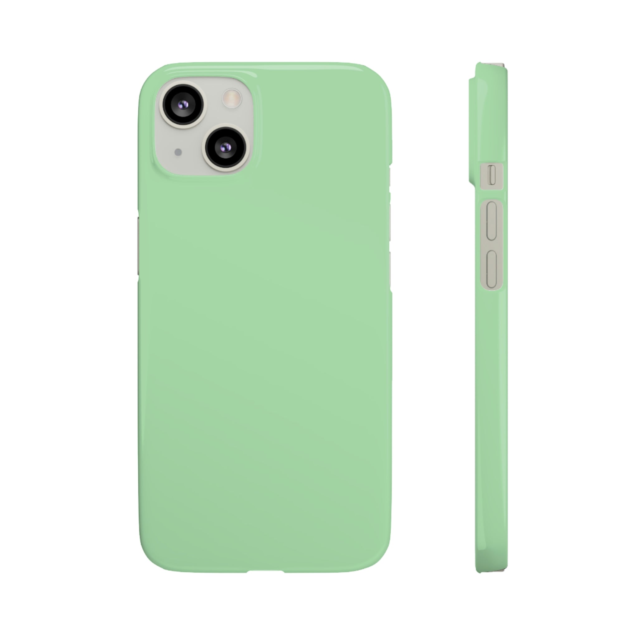 Celadon iPhone Case (Slim) iPhone 13 Glossy Phone Case