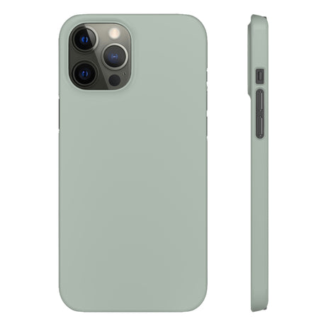 Ash Grey iPhone Case (Slim) iPhone 12 Pro Max Glossy Phone Case